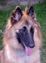 Kelda