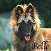 Belle