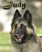 Judy