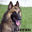 Kieran