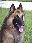 Kieran