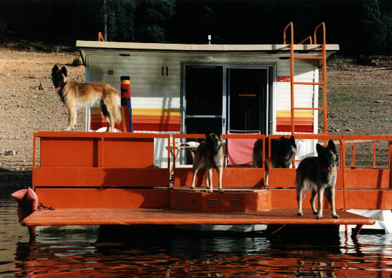 Gator, Ava, George and Desi houseboating on Lake Shasta