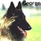 George