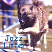 Jazz Litter